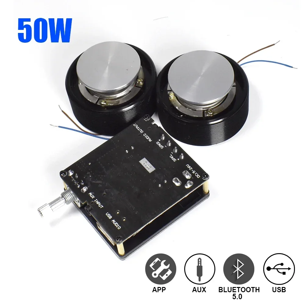 1 Set 50W 2.0 HIFI Vibration S - Home Cinema Ampli 리뷰 및 가격