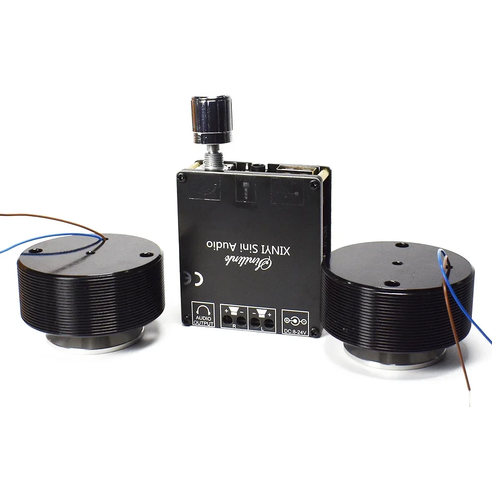 1 Set 50W 2.0 HIFI Vibration S - Home Cinema Ampli 리뷰 및 가격