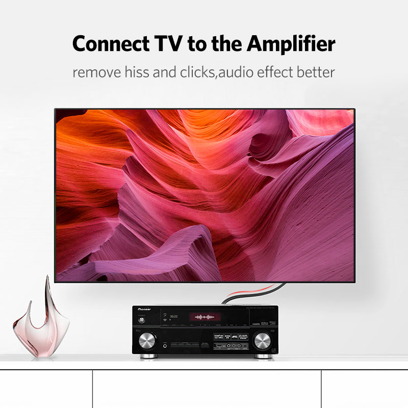 UGREEN 2RCA to 2 RCA Male to M - Home Cinema Ampli 리뷰 및 가격