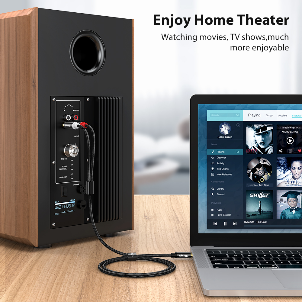 Elough RCA Cable AUX RCA Speak - Home Cinema Ampli 리뷰 및 가격