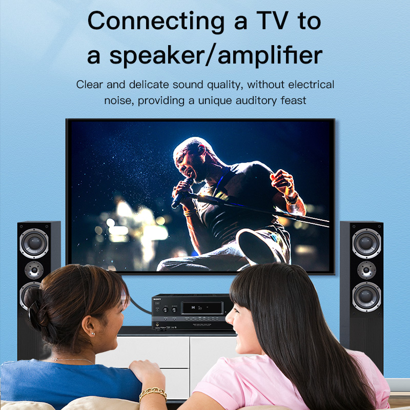 CHOSEAL RCA Cable Digital Coax - Home Cinema Ampli 리뷰 및 가격