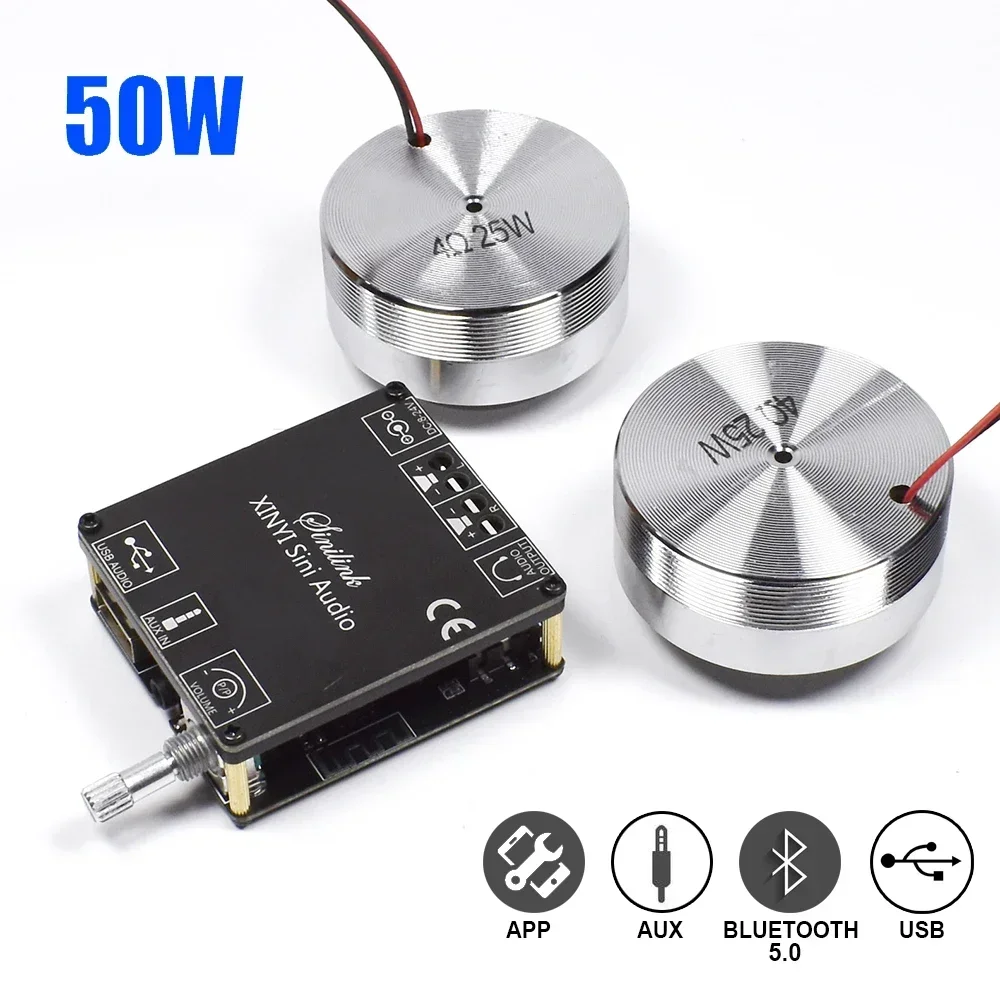 2*25W Portable Stereo Vibratio - Home Cinema Ampli 리뷰 및 가격